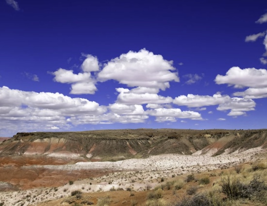 Own a Piece of Navajo History Land Near Holbrook, Arizona!