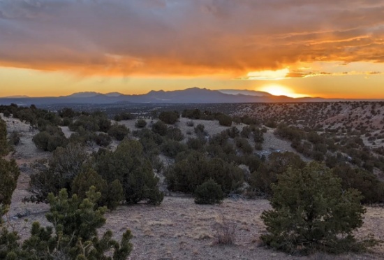 Exciting Developments Unfold in New Mexico - Secure Your Land Today!