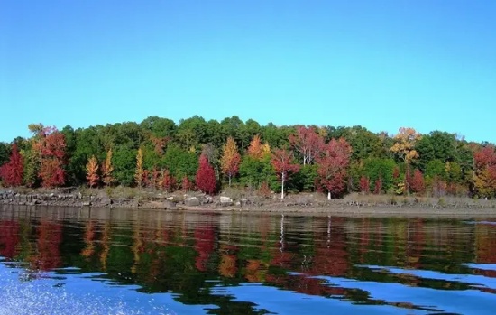 Buildable Lot in Charming Ozark Acres, Arkansas!