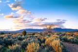 Your Opportunity to Become a New Mexico Landowner!