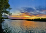 Cherokee Village, Arkansas: 20 Lot Package! BIDDING IS PER LOT!