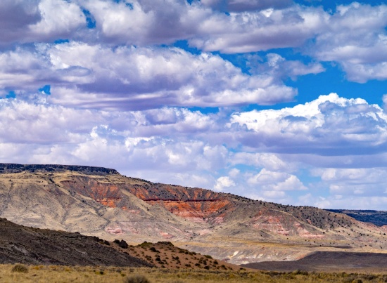 Breathtaking Arizona: 5 Acre Retreat in Navajo County!