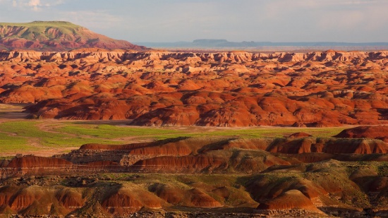 76 Acres in Navajo County, Arizona!