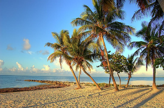 Skip the Market Crash: Own Land That Lasts!