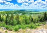 43 Acres in Maine!