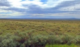 76 Acres in Navajo County, Arizona!