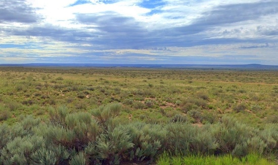 76 Acres in Navajo County, Arizona!