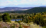 Modoc County, California: 10 Lot Package in California Pines! BIDDING IS PER LOT!