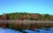 Buildable Lot in Charming Ozark Acres, Arkansas!