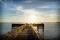 Discover Nature and Adventure in Homosassa, Florida!