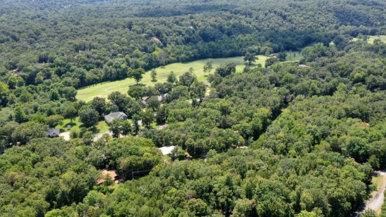 FINANCE 20 Buildable Lots in Cherokee Village, Arkansas! YOUR BID IS YOUR DOWN PAYMENT.