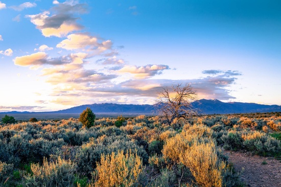 Explore Valencia County, New Mexico!