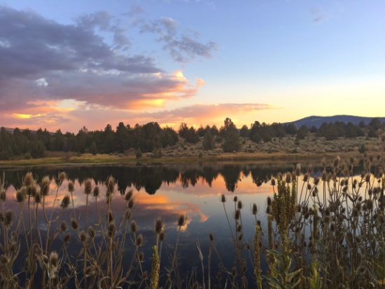Claim Your 20-Acre Escape in Modoc County, California!