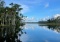 Adventure Awaits in Homosassa Springs, Florida!