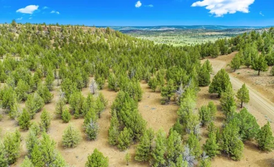 Modoc County, California: 10 Lot Package! BIDDING IS PER LOT!