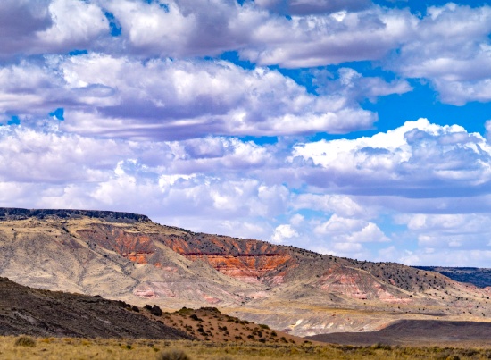 Five Acres in Navajo County, AZ!