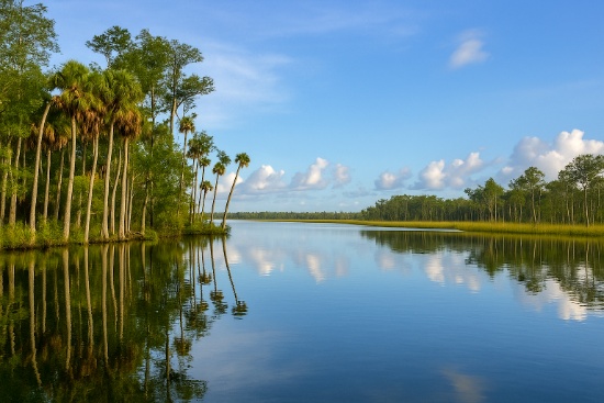 Experience Florida - Own Land in Citrus County!