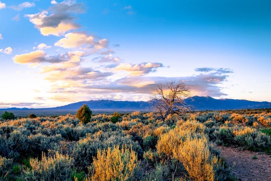 Valencia County, NM: Quarter-Acre of Opportunity!