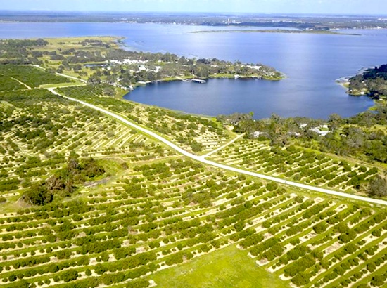 Polk County, FL: Cast, Relax, Repeat!