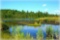 Build Near Michigan's Lake Harold!