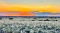 76 Acres in Navajo County, Arizona!