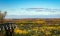 Natural Beauty: Dickinson County, MI!