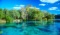 Soak Up the Sun in Citrus County, Florida!