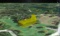 Golf Course Lot in Mecosta County, Michigan!