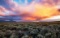 Valencia County, New Mexico: Don't Miss this Explosive Growth!