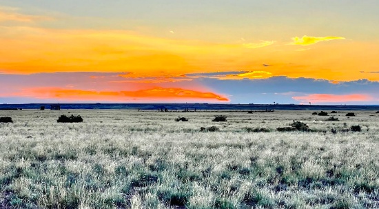 76 Acres in Navajo County, Arizona!
