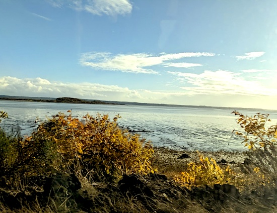 Claim Your Slice of Grays Harbor, Washington!
