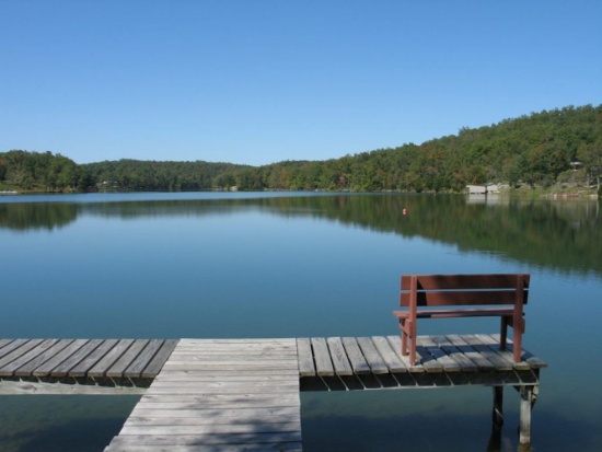 20 Buildable Lots in Cherokee Village, AR! BIDDING IS PER LOT!