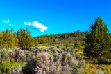 Build Your Dream in Scenic California!