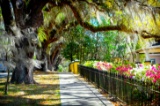 Discover Citrus County, Florida!