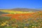 Los Angeles County is a Hot Spot - Come See Why!