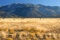 Invest in Valencia County, New Mexico!