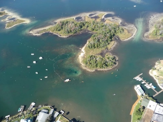 Discover Coastal Charm in Homosassa, Florida!