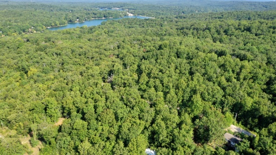 Buildable Lot in Sharp County, Arkansas!