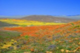 Los Angeles County is a Hot Spot - Come See Why!
