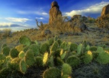 Quarter-Acre Gem in Valencia County, NM!