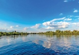 Your River Retreat in Charlotte County, FL!