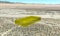 1.31 Acres in Peaceful Lake Los Angeles