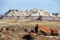 Five Scenic Acres in Navajo County, Arizona!