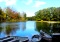Build Your Dream on Three Michigan Lots!