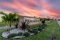 Half-Acre Residential Florida Lot!