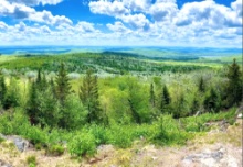 Explore 43 Acres in Aroostook County, Maine!