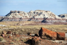Five Scenic Acres in Navajo County, Arizona!
