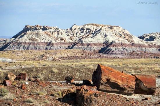 Five Scenic Acres in Navajo County, Arizona!