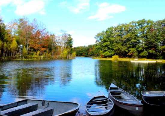 Build Your Dream on Three Michigan Lots!