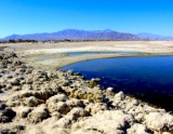 CA Living by the Salton Sea!